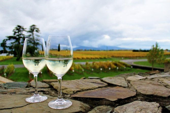 Progressive WINTER Wine and Gourmet Trail of Marlborough - Pickup and Drop-off Services