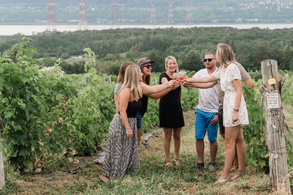 Quebec City: Island of Orleans Wine Tour - Booking Information