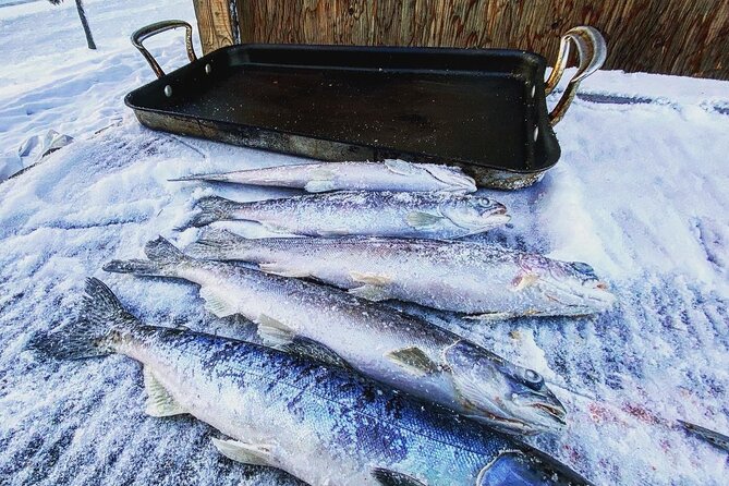 Quick and Easy Ice Fishing at Chena Lake - Common questions