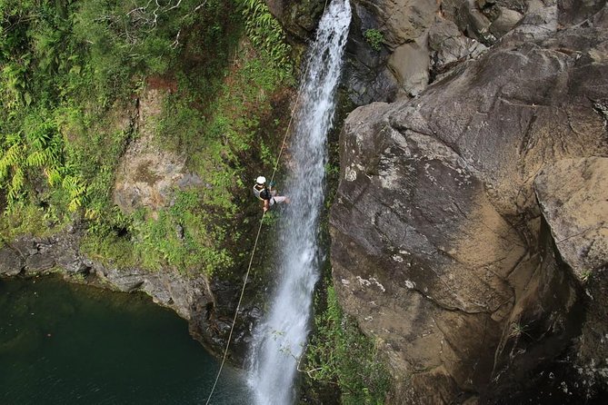 Rappel Maui Waterfalls and Rainforest Cliffs - Customer Reviews and Experiences