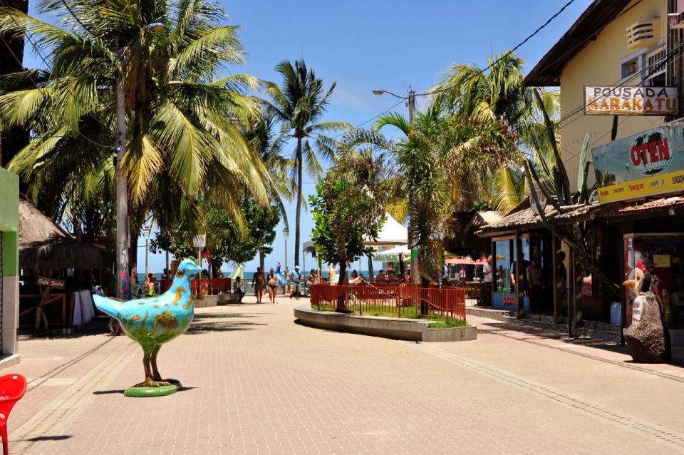 Recife: Tour to Porto De Galinhas - Full Description