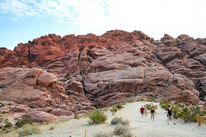 Red Rock Canyon Hiking Tour With Transport From Las Vegas - Pricing and Logistics