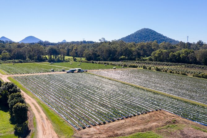 Regional Producers Food Tour - Tasting Sessions