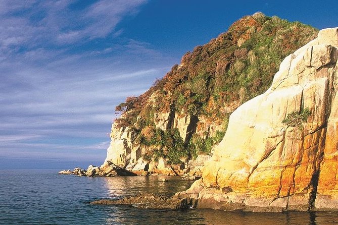 Remote Marine Reserve - Guided Kayaking - New Zealand - Local Directions