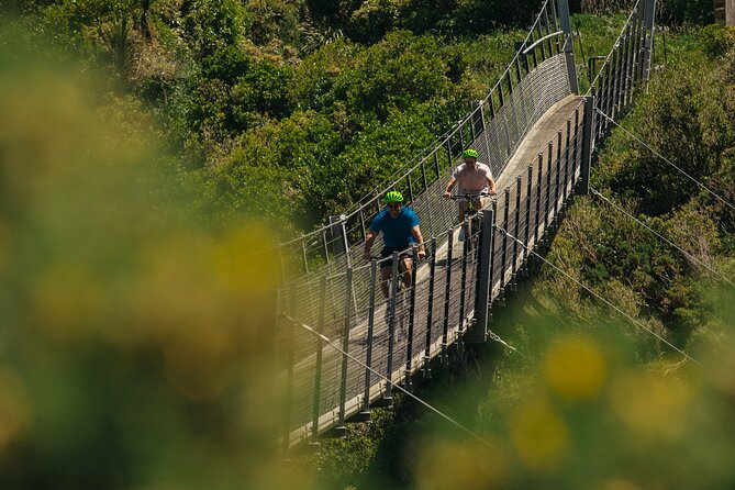 Remutaka Rail Trail Explorer - Ebike Cruise Ship Shore Excursion - Weather and Booking Details