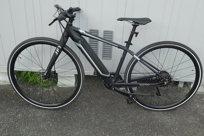 Rental of Touring Bikes and E-Bikes - Tour Options Available