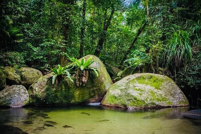 Return Mossman Gorge From Port Douglas Transfers - Contact and Support Options
