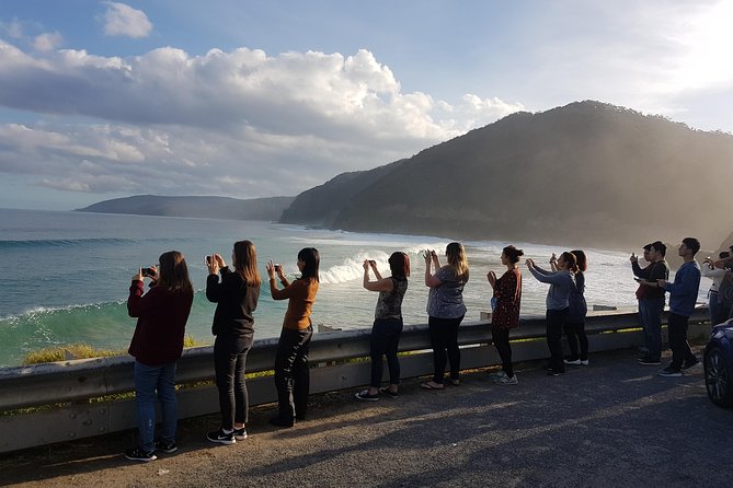 Ride Tours 2 Day Great Ocean Road Trip for 18-35 Year Olds - Tour Highlights