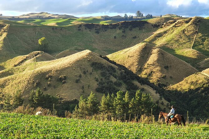 River Valley Stables - Burn The Breeze, Half Day Horse Ride For Riders - Expectations, Policies, and Reviews