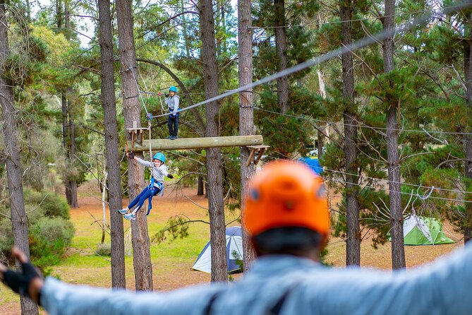 Rock Climb and Ropes Shared Experience - Contacting Viator for Assistance