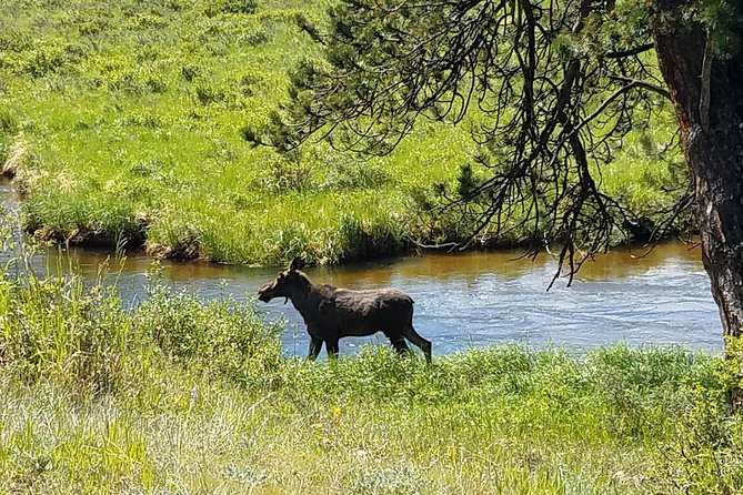 Rocky Mountain National Park in Summer Tour From Denver - Additional Information