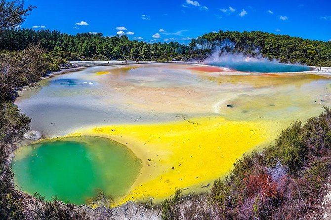 Rotorua Highlights Small Group Tour Including Wai-O-Tapu From Auckland - Tour Highlights and Additional Information