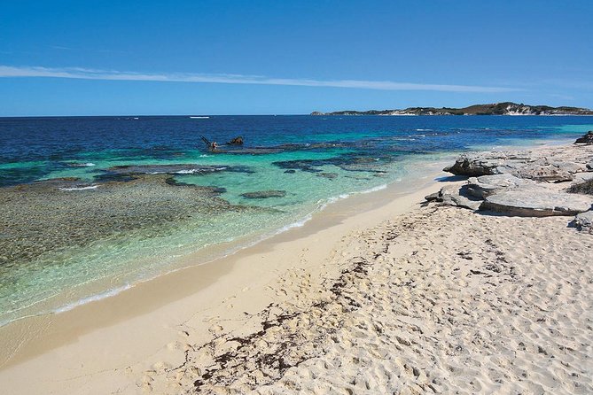 Rottnest Island Bayseeker Tour - Reviews and Ratings