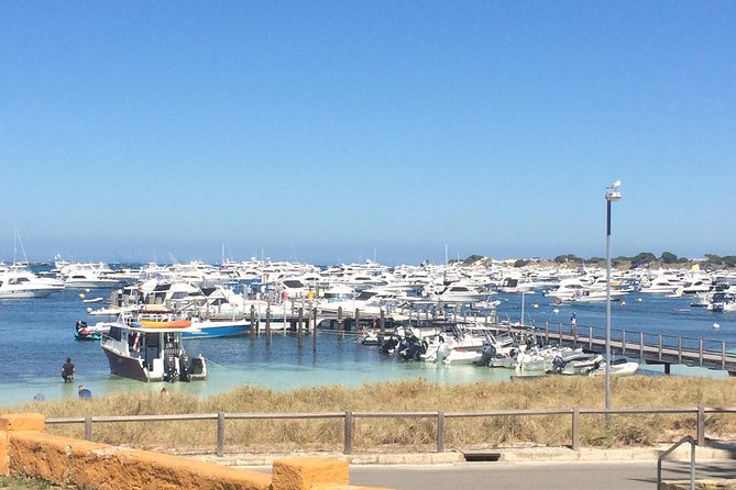 Rottnest Island ECO E Bike Tour - Feedback and Reviews