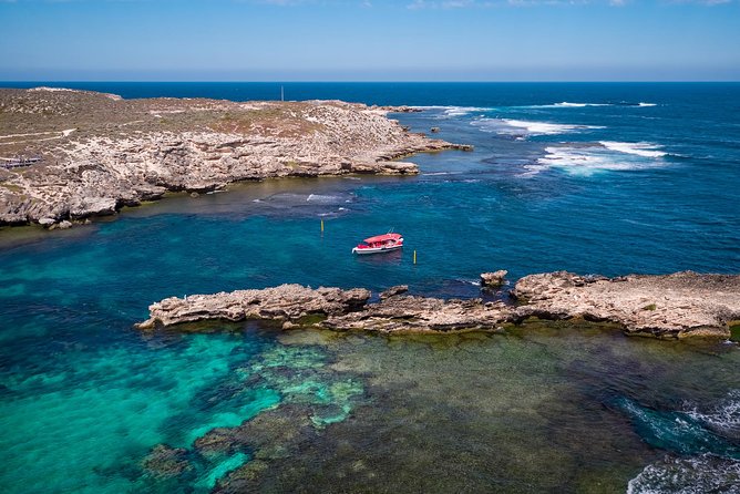 Rottnest Island From Perth or Fremantle With Wildlife Cruise - Wildlife Cruise Experience Overview