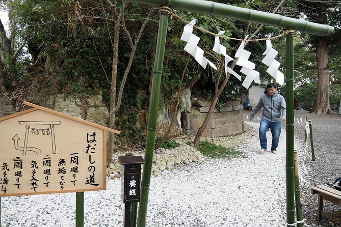 Rural Japan Cycling Tour to the Rich Nature Area in Ichinomiya - Pricing and Booking Information