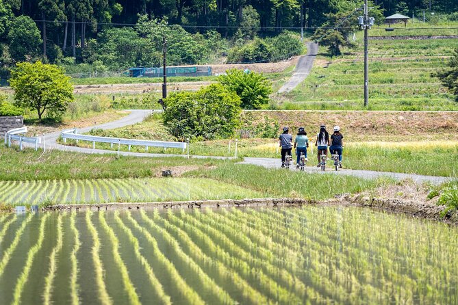 Rural Villages & Brewery Town: Private 1-Day Cycling Near Kyoto - Tour Guide Expertise & Local Knowledge