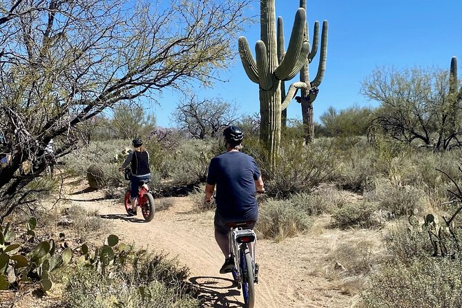 Saguaro National Park East E-Bike Tour - Sum Up