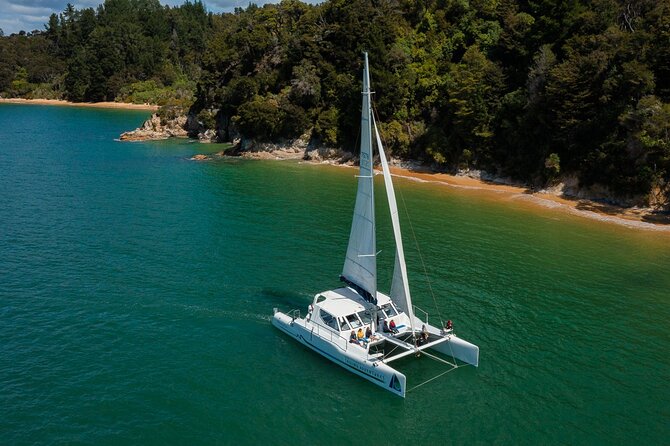 Sail, Seals, and Walk Tour in Abel Tasman - Pricing Details