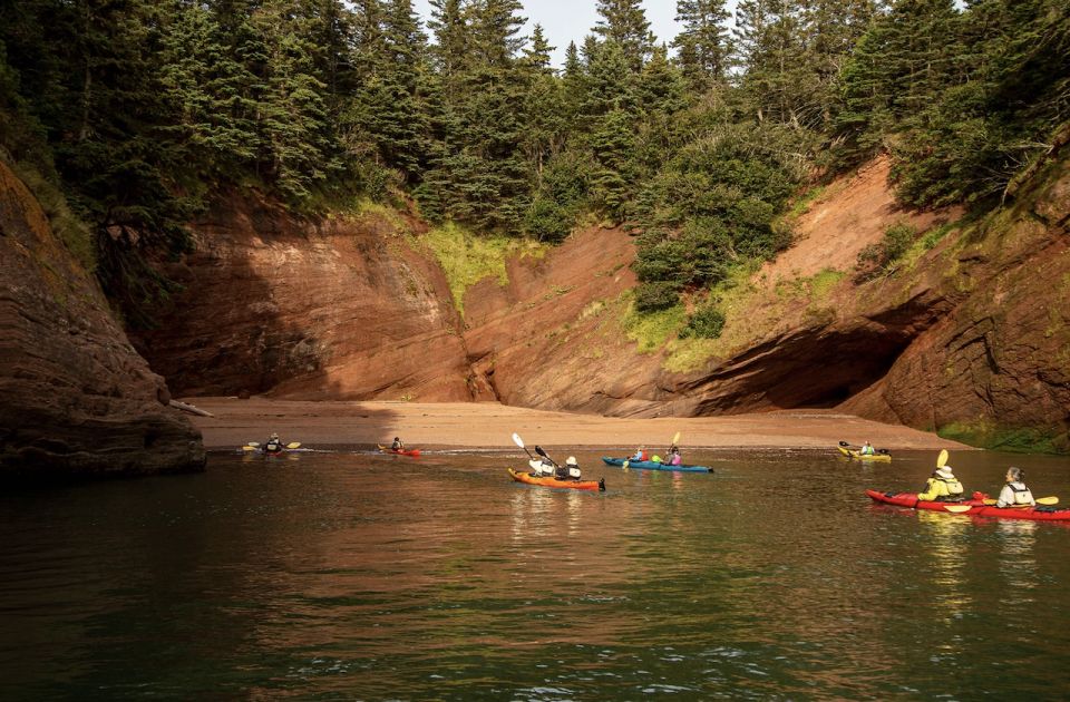 Saint John: Bay of Fundy Guided Kayaking Tour With Snack - Positive Traveler Feedback