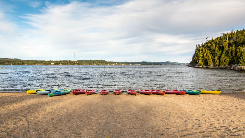 Saint John River: River Relics Kayak Tour - Common questions