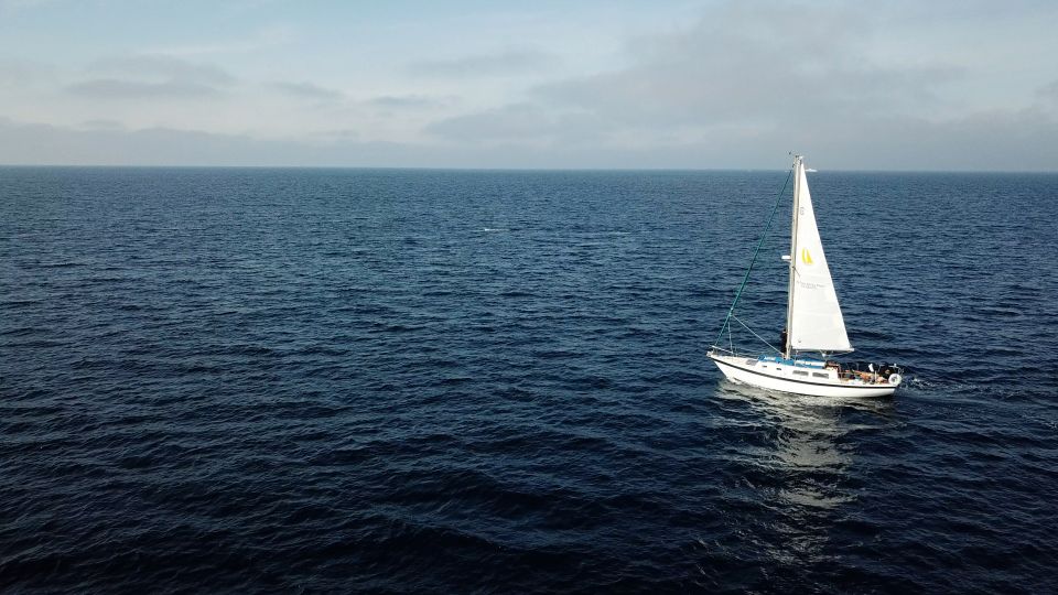 San Diego: Private 2-Hour Sailing Tour for 3-6 People - Pricing and Booking