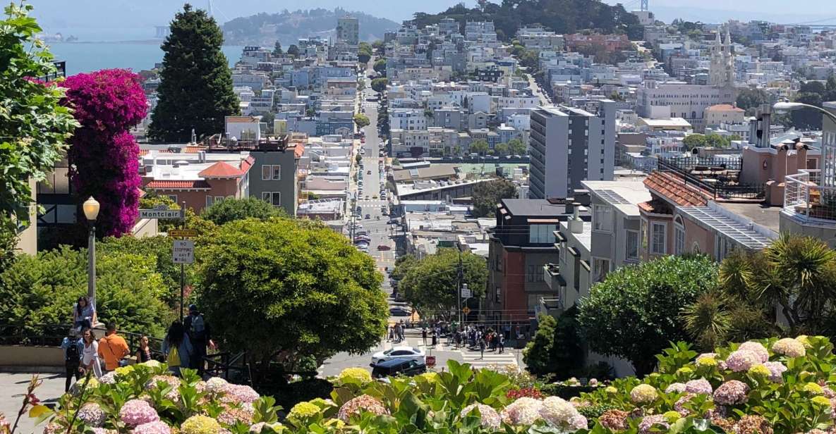 San Francisco: City Highlights Walking Tour - Meeting Point Information