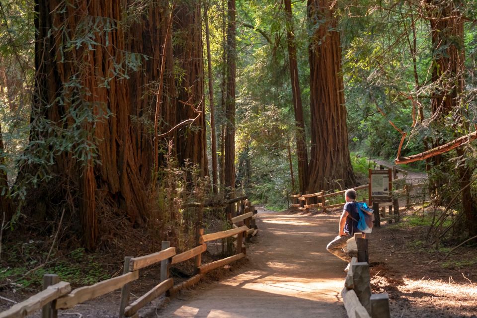 San Francisco: Private Muir Woods and Sausalito Tour - Directions