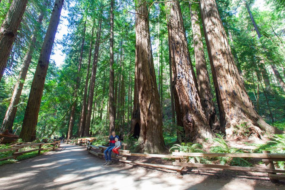 San Francisco: Private Muir Woods, Sausalito Half-Day Trip - Customer Reviews