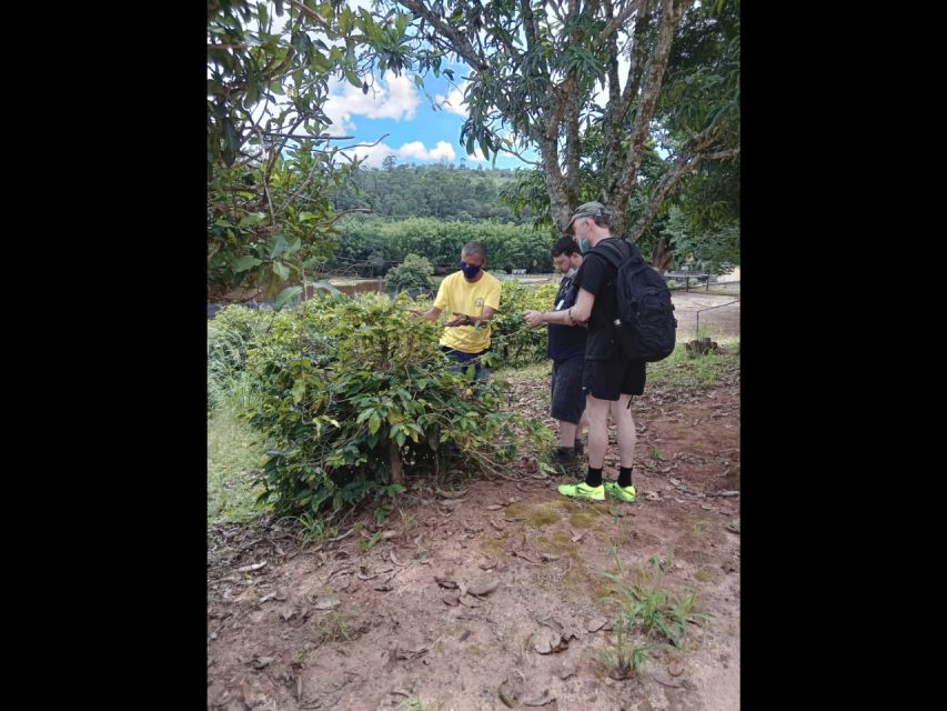 São Paulo: Coffee & Cheese Farm Tour With Breakfast & Lunch - Tour Guide Denis