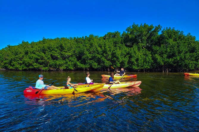 Sarasota: Lido Mangrove Tunnels Kayaking Tour - Sum Up