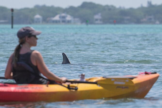 Sarasota Mangroves Kayaking Small-Group Tour - Safety Measures