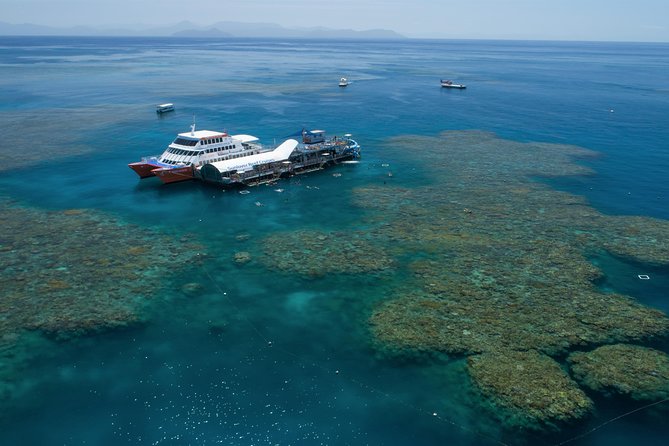 Scenic Helicopter Flight to Moore Reef and Return Snorkeling Cruise From Cairns - Customer Feedback