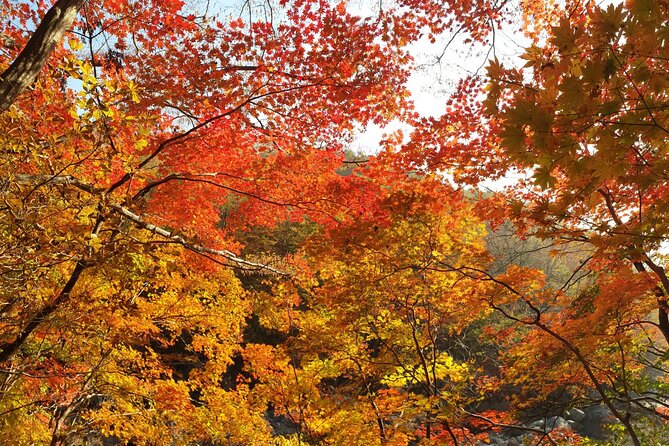 Scenic Jiri Mountain Autumn Foliage One Day Tour - Packing Recommendations