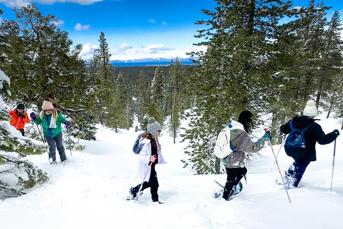 Scenic Snowshoe Adventure in South Lake Tahoe, CA - Booking and Confirmation