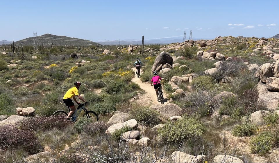 Scottsdale, AZ Private Guided Desert Mountain Bike Tours - Inclusions in the Tour
