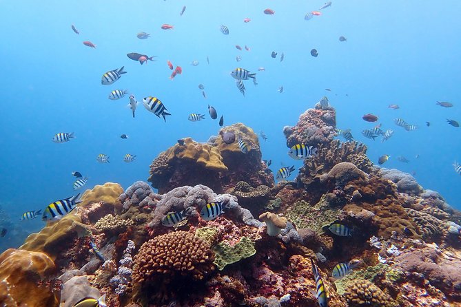 Scuba Diving at Tulamben USAT Liberty Wreck - Safety Protocols and Guidelines