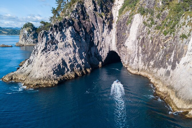 Sea Cave Adventures in Whitianga - Additional Information
