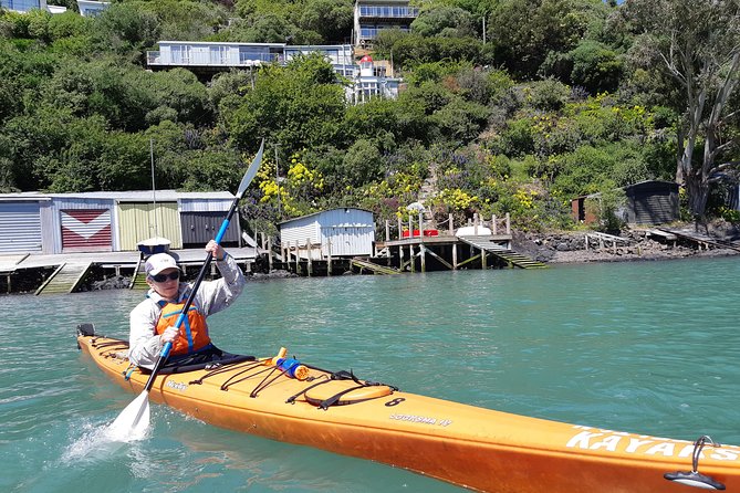 Sea Kayaking Christchurch, Lyttelton Harbour & Quail Island - Logistics and Key Information
