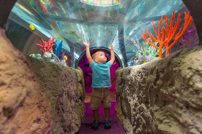 SEA LIFE Aquarium Minnesota Admission Ticket at Mall of America - Visitor Directions and Tips