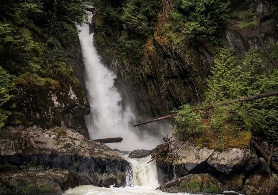 Sea Vancouver: City and Waterfall Sightseeing RIB Tour - Customer Reviews
