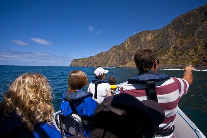 Seal Island Boat Tour From Victor Harbor - Additional Information