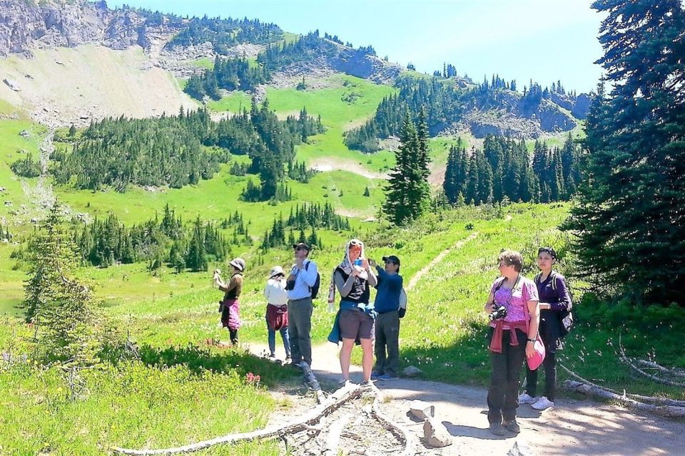 Seattle: Mount Rainier Park All-Inclusive Small Group Tour - Customer Reviews and Ratings
