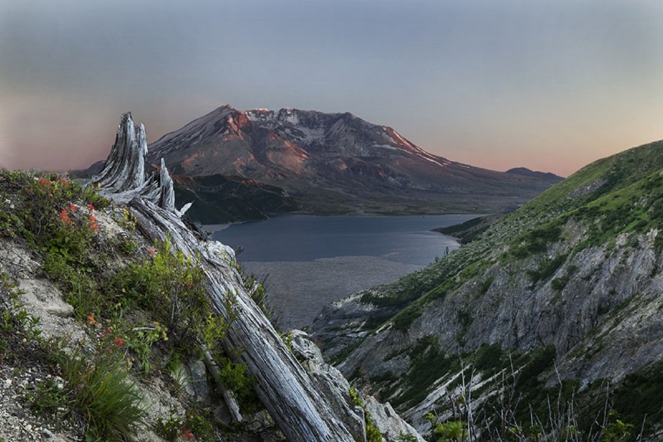 Seattle: Mt. St. Helens National Monument Small Group Tour - Booking Information