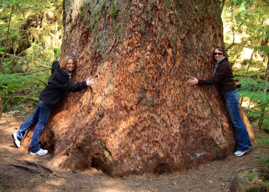 Seattle: Olympic National Park Small-Group Tour - Pickup Locations