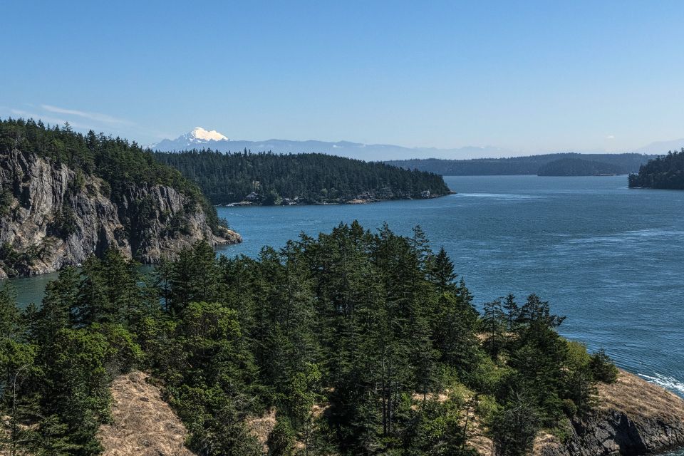 Seattle: Private Whidbey Island & Deception Pass Tour - Customer Review