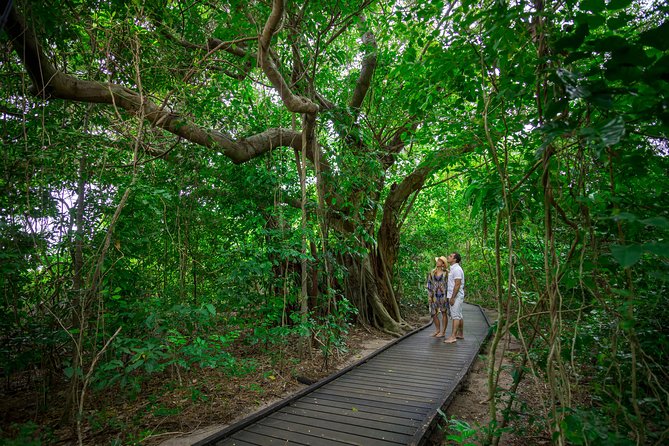 Seawalker Helmet Experience and Green Island Combo From Cairns - Cancellation Policy