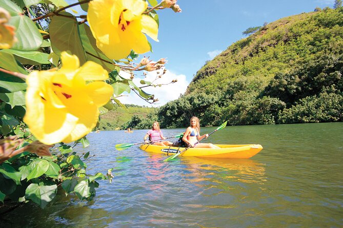 Secret Falls Kayak Hike in Kauai - Common questions
