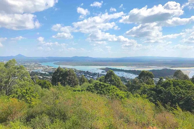 Secrets of Noosa Tour With Oceanview Lunch, Nature & Noosa River Ferry - Traveler Reviews