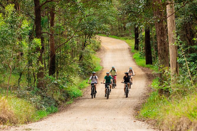 Self Guided E Bike Tour - Unicorn Falls, Rainforest & Rail Trail - Packing Essentials